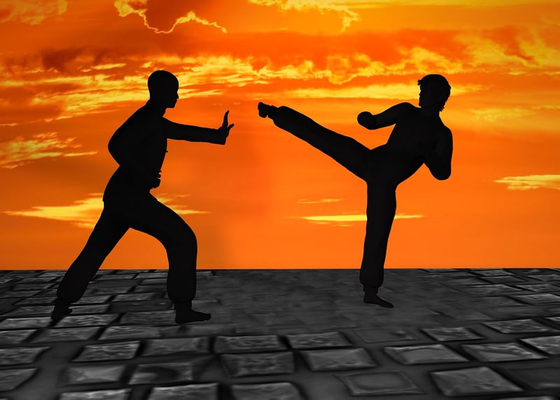 Kung Fu Silhouettes